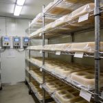 Silicone mold storage facility for protecting molds between production runs