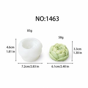 1463 Succulent Mold